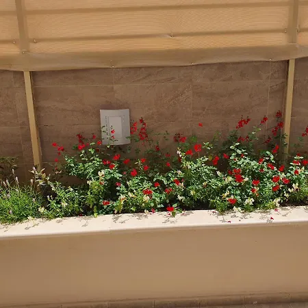 Zannis 3* レティムノ